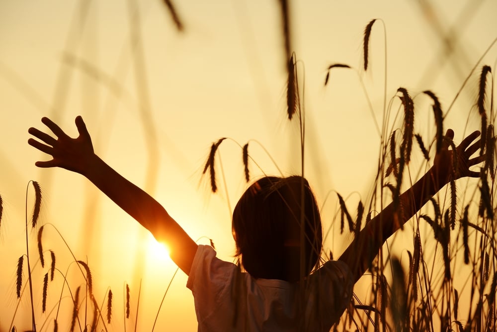 Kid at wheat field